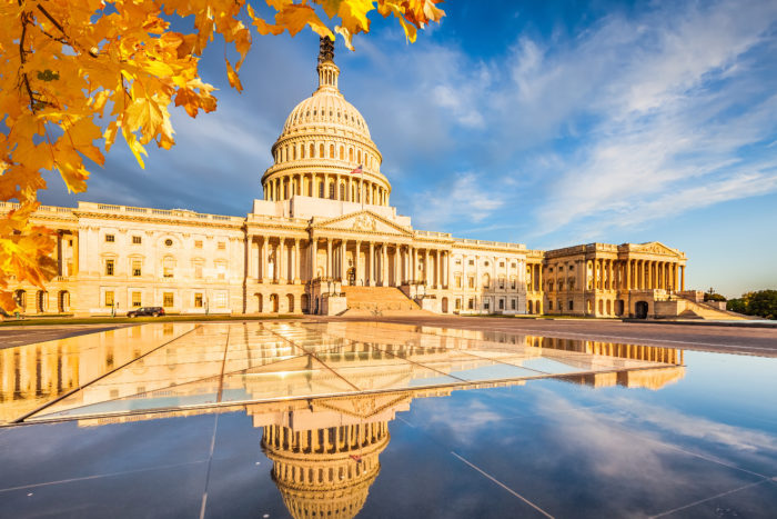 npe-action-political-endorsements